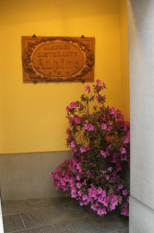 Hotel Alpino Barga Extérieur photo